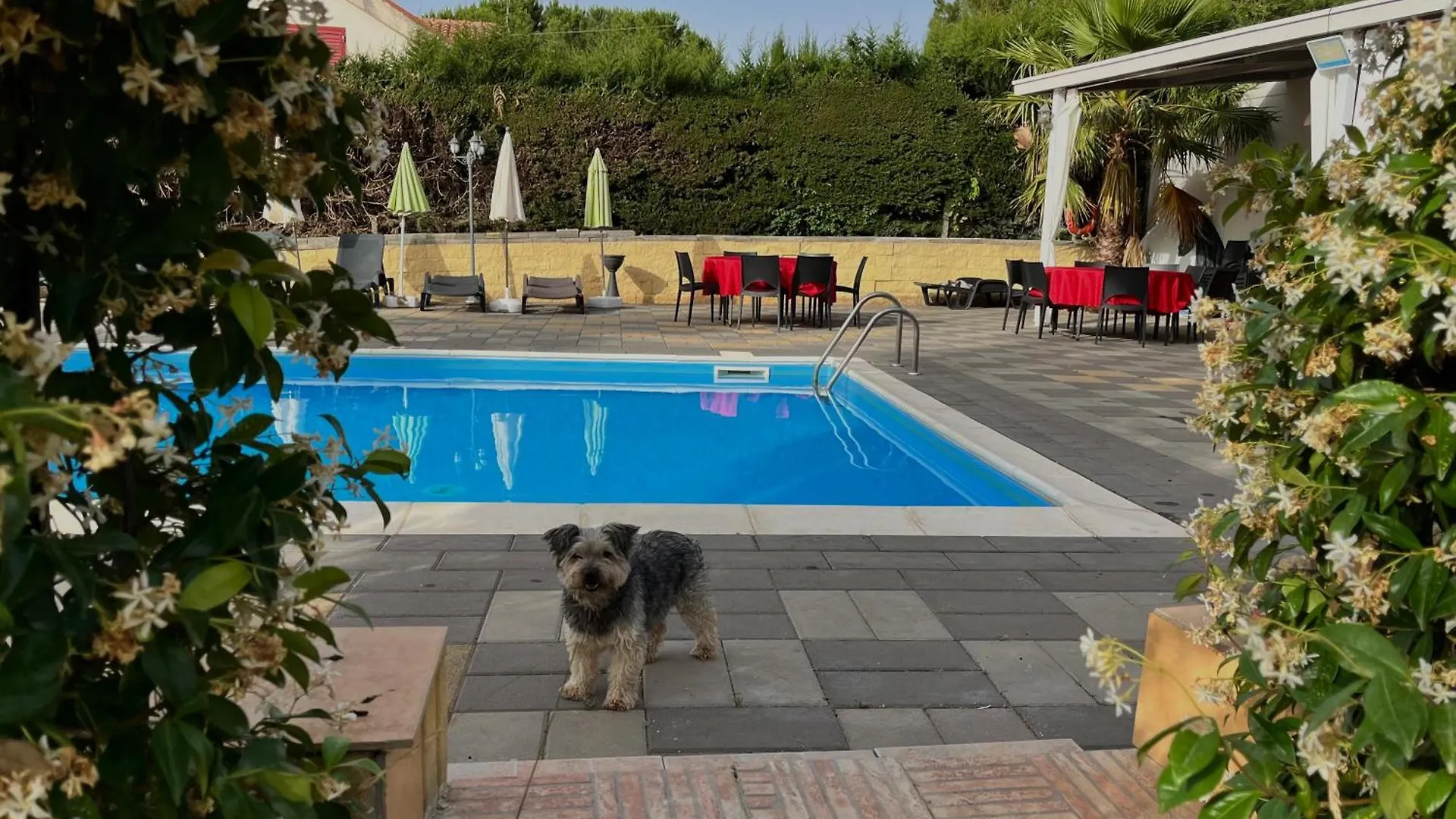 Villa Belvedere B&B Casa Vacanze Enna Pergusa 0*,  Италия